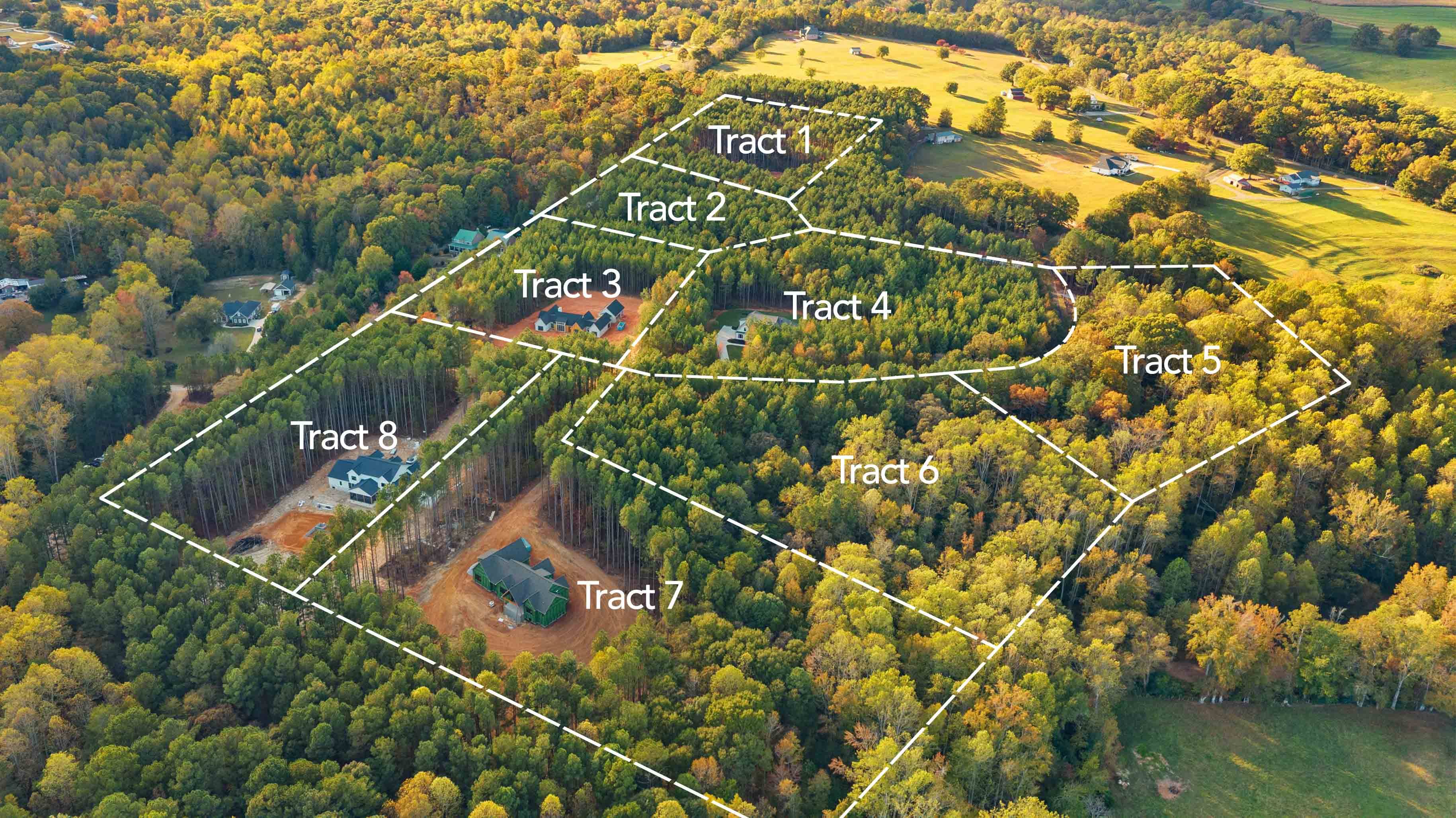 Real Estate